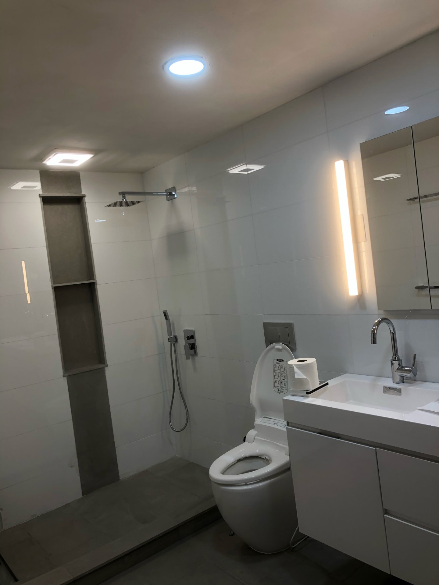 Modern Walk-In Shower